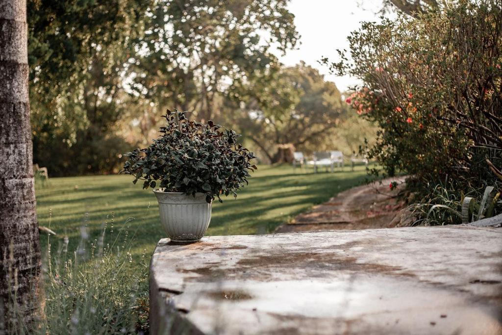 Linvale Country Lodge Hazyview Buitenkant foto