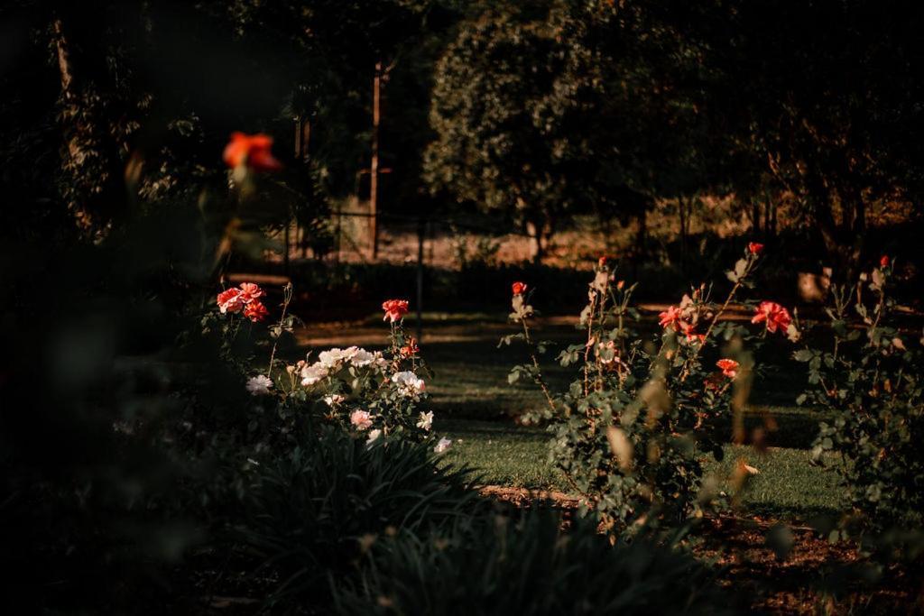 Linvale Country Lodge Hazyview Buitenkant foto